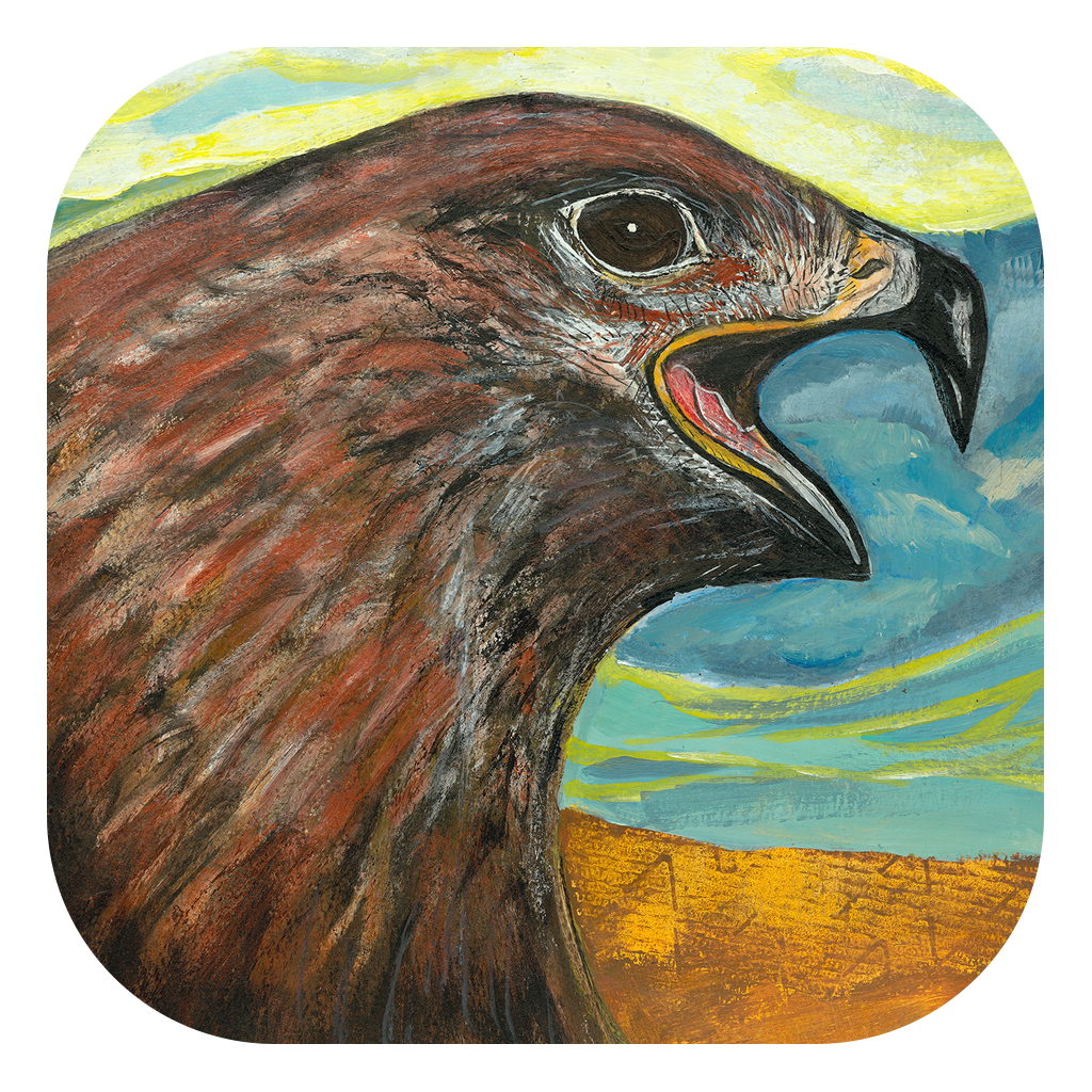 Kleiber AR Gallery on the App Store